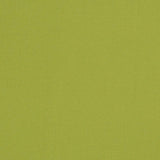 Charlotte - D3451 - Lime - Fabric by the Yard
