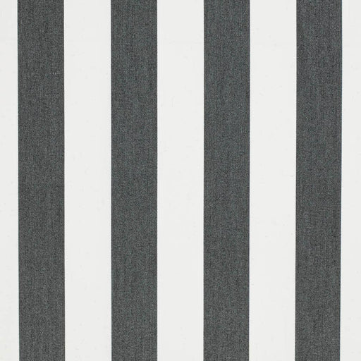 Charlotte - D3479 - Cabana Black - Fabric by the Yard Cabana Black