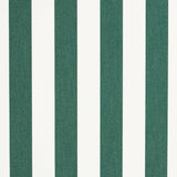 Charlotte - D3482 - Cabana Forest - Fabric by the Yard