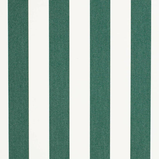 Charlotte - D3482 - Cabana Forest - Fabric by the Yard Cabana Forest
