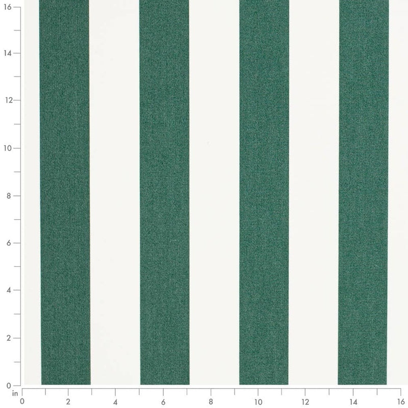 Charlotte - D3482 - Cabana Forest - Fabric by the Yard - D3482 - D3482_Ruler