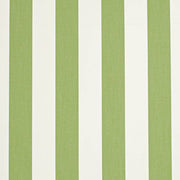 Charlotte - D3485 - Cabana Lime - Fabric by the Yard Cabana Lime