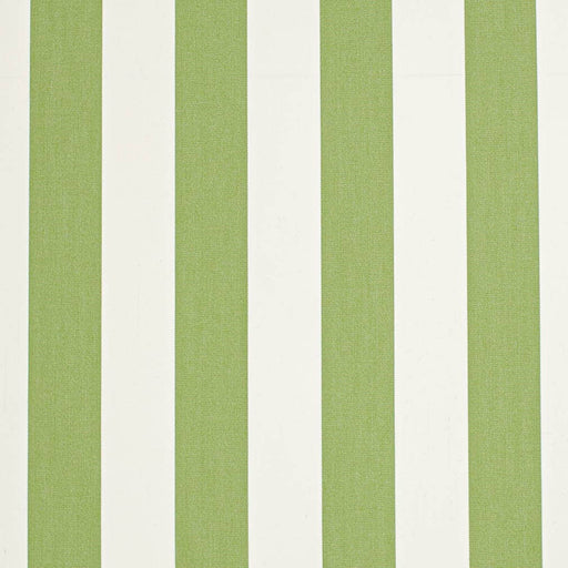 Charlotte - D3485 - Cabana Lime - Fabric by the Yard Cabana Lime