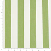 Charlotte - D3485 - Cabana Lime - Fabric by the Yard - D3485 - D3485_Ruler