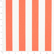 Charlotte - D3488 - Cabana Mandarin - Fabric by the Yard - D3488 - D3488_Ruler
