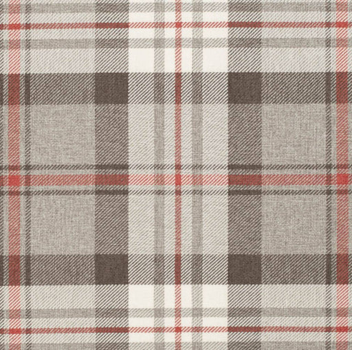 Charlotte - D3497 - Harvest - Fabric by the Yard Harvest