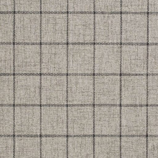 Charlotte - D3499 - Granite - Fabric by the Yard Granite