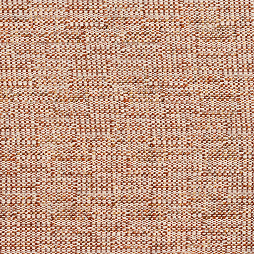 Charlotte - D349 - Sienna - Fabric by the Yard Sienna