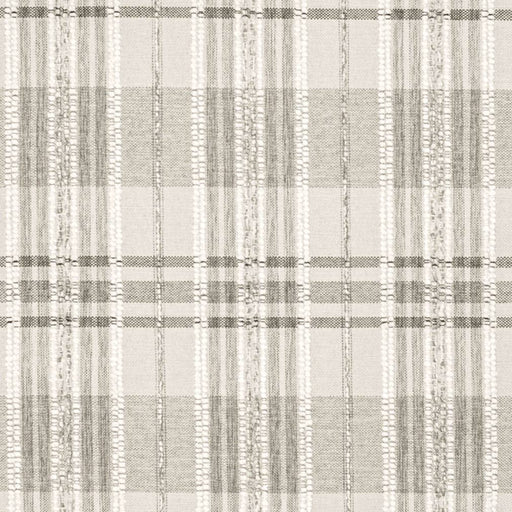 Charlotte - D3509 - Greige - Fabric by the Yard Greige