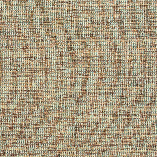 Charlotte - D350 - Sage - Fabric by the Yard Sage