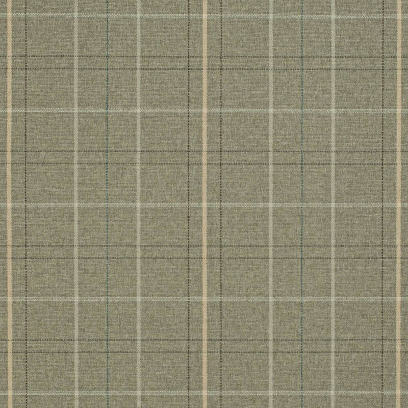 Charlotte - D3511 - Cypress - Fabric by the Yard Cypress