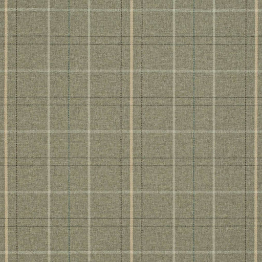 Charlotte - D3511 - Cypress - Fabric by the Yard Cypress