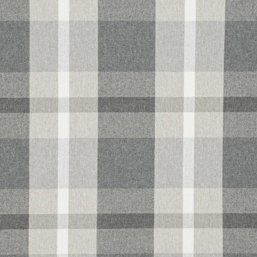 Charlotte - D3514 - Carbon - Fabric by the Yard Carbon