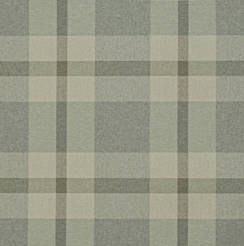 Charlotte - D3515 - Sage - Fabric by the Yard Sage