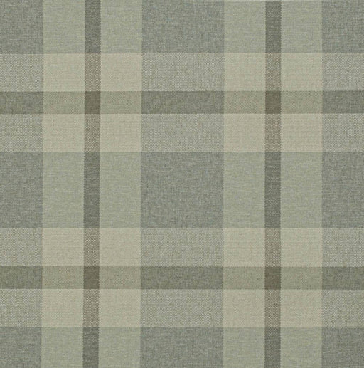 Charlotte - D3515 - Sage - Fabric by the Yard Sage