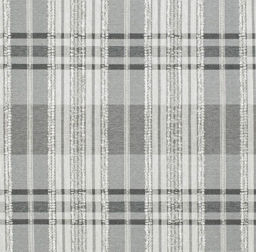 Charlotte - D3516 - Pewter - Fabric by the Yard Pewter