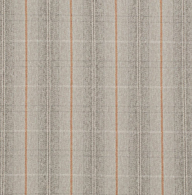 Charlotte - D3520 - Pumice - Fabric by the Yard Pumice
