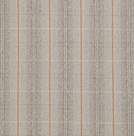 Charlotte - D3520 - Pumice - Fabric by the Yard Pumice