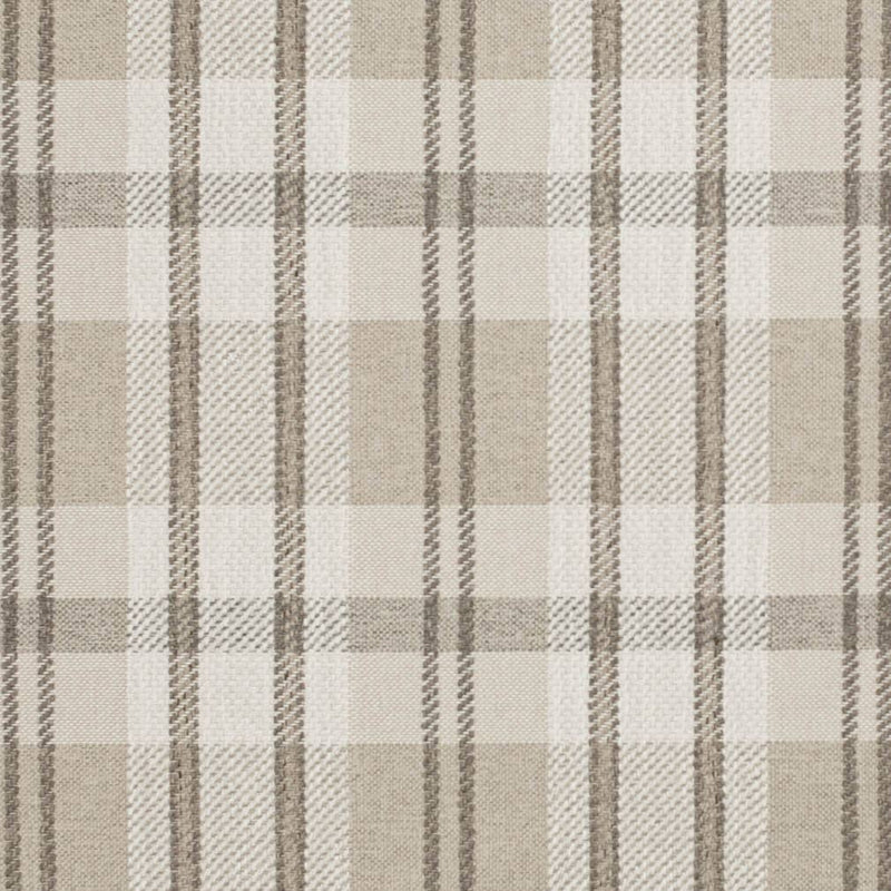 Charlotte - D3540 - Latte - Fabric by the Yard Latte