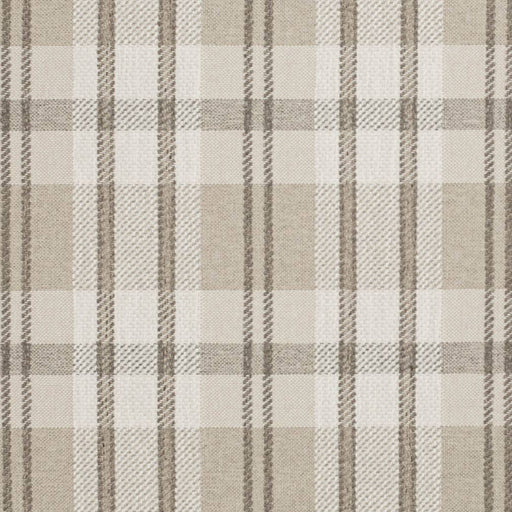 Charlotte - D3540 - Latte - Fabric by the Yard Latte