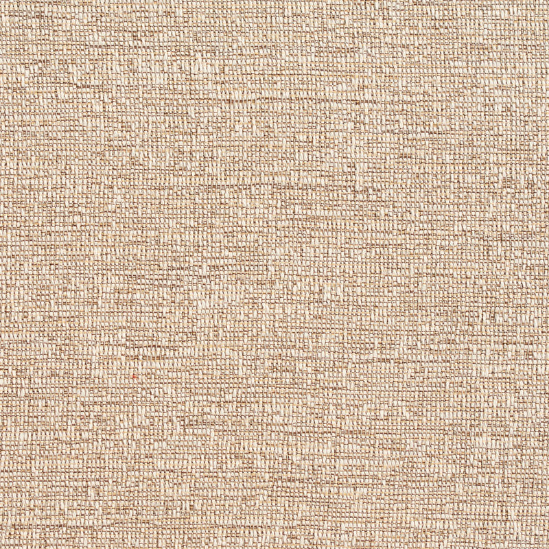 Charlotte - D355 - Birch - Fabric by the Yard Birch