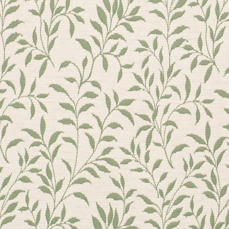 Charlotte - D3586 - Green Vine - Fabric by the Yard Green Vine