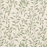 Charlotte - D3586 - Green Vine - Fabric by the Yard