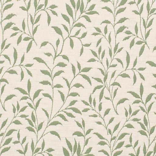 Charlotte - D3586 - Green Vine - Fabric by the Yard Green Vine