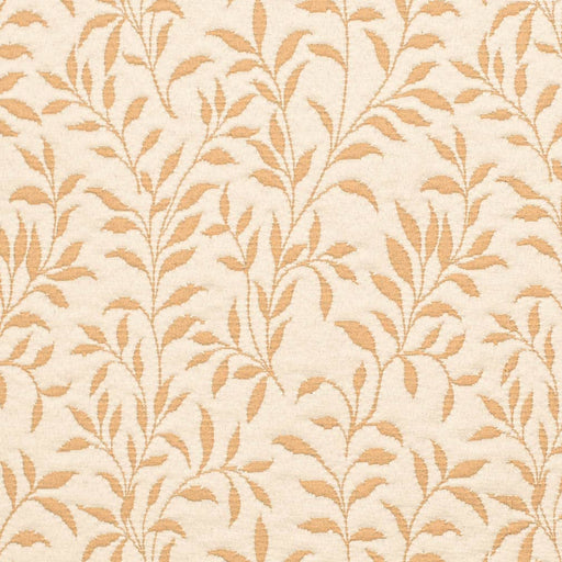 Charlotte - D3588 - Honey Vine - Fabric by the Yard Honey Vine
