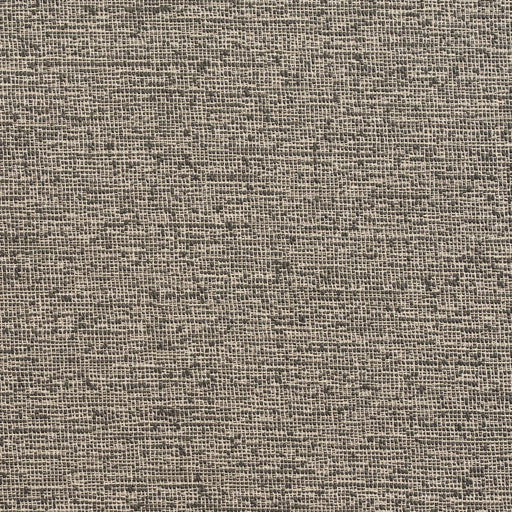 Charlotte - D359 - Slate - Fabric by the Yard Slate
