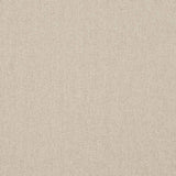 Charlotte - D3608 - Smoke - Fabric by the Yard