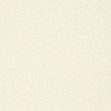 Charlotte - D3613 - Cloud - Fabric by the Yard