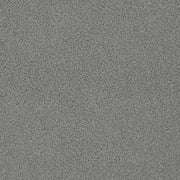 Charlotte - D3615 - Flint - Fabric by the Yard Flint