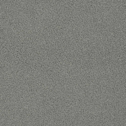 Charlotte - D3615 - Flint - Fabric by the Yard Flint