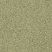 Charlotte - D3620 - Sage - Fabric by the Yard Sage