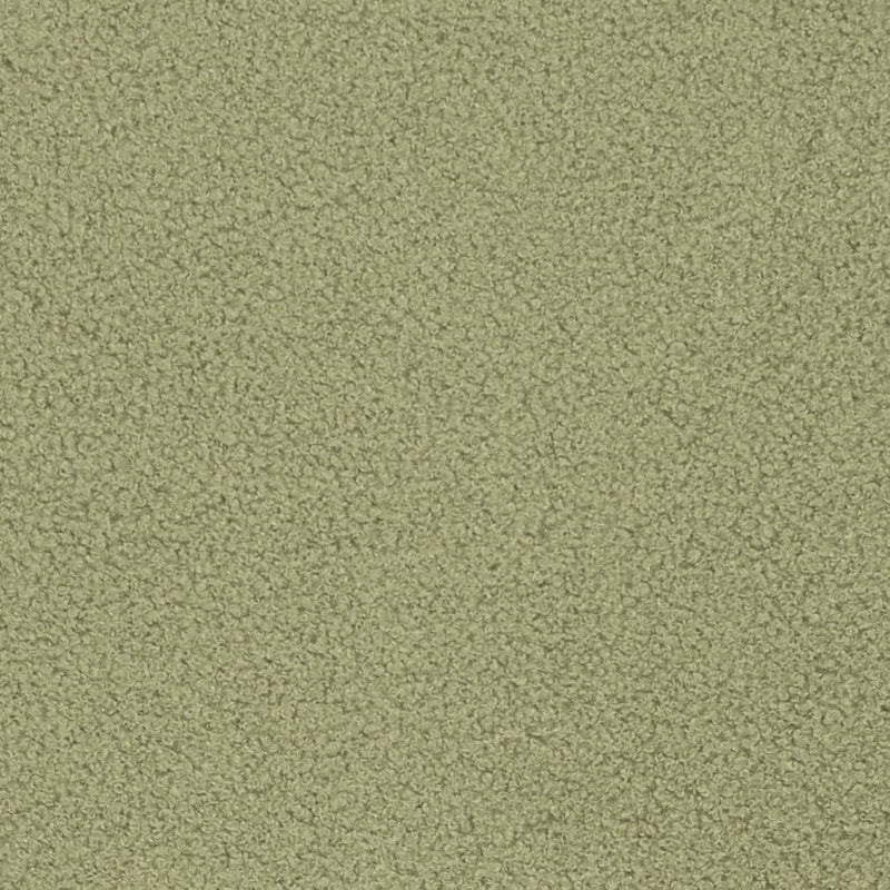 Charlotte - D3620 - Sage - Fabric by the Yard Sage
