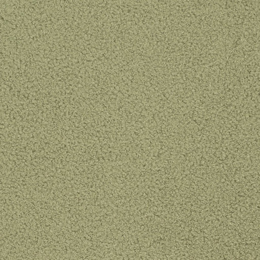 Charlotte - D3620 - Sage - Fabric by the Yard Sage