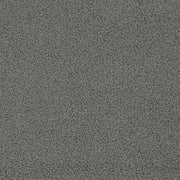 Charlotte - D3622 - Steel - Fabric by the Yard Steel