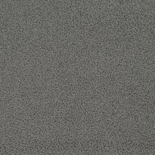 Charlotte - D3622 - Steel - Fabric by the Yard Steel