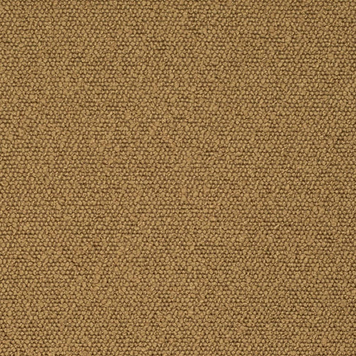 Charlotte - D3627 - Brass - Fabric by the Yard Brass