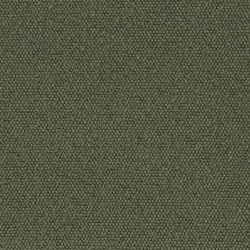 Charlotte - D3628 - Olive - Fabric by the Yard Olive