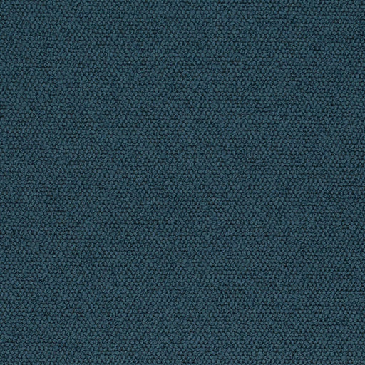 Charlotte - D3629 - Ink - Fabric by the Yard Ink