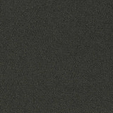Charlotte - D3630 - Coal - Fabric by the Yard