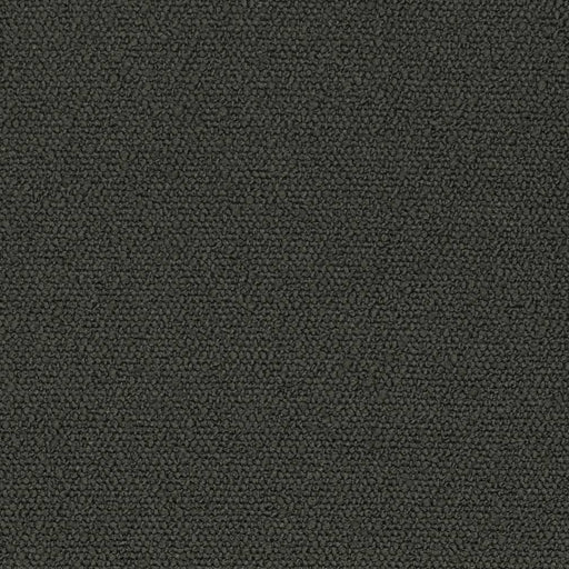 Charlotte - D3630 - Coal - Fabric by the Yard Coal