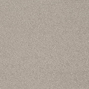 Charlotte - D3632 - Pewter - Fabric by the Yard Pewter