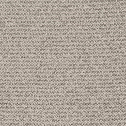 Charlotte - D3632 - Pewter - Fabric by the Yard Pewter