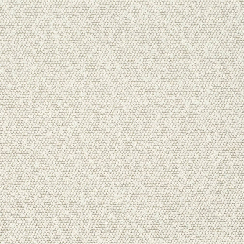 Charlotte - D3633 - Fog - Fabric by the Yard Fog