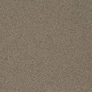 Charlotte - D3634 - Latte - Fabric by the Yard Latte