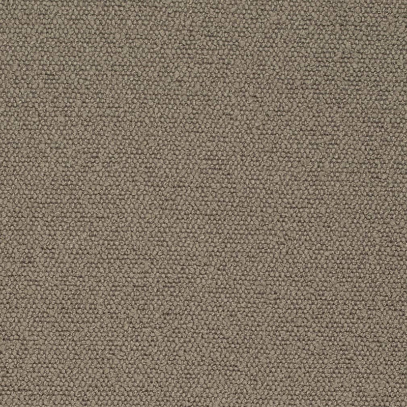 Charlotte - D3634 - Latte - Fabric by the Yard Latte