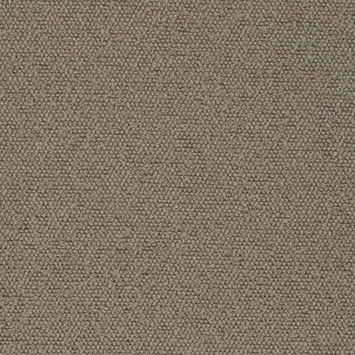 Charlotte - D3634 - Latte - Fabric by the Yard Latte